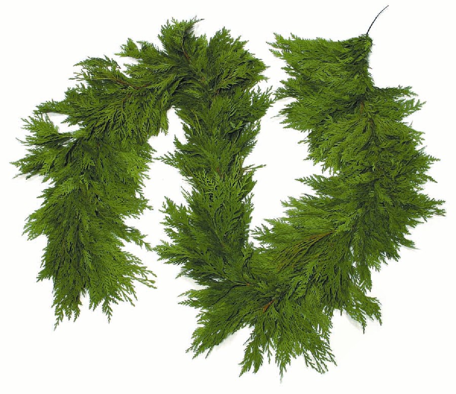 Western Red Cedar Garland - 15ft